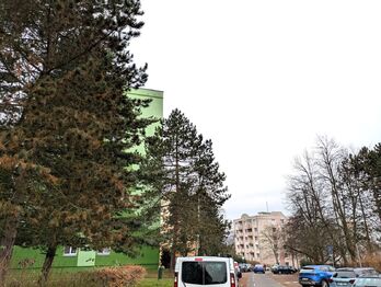 Pronájem bytu 3+1 v osobním vlastnictví 66 m², Ústí nad Labem