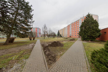 Pronájem bytu 1+1 v osobním vlastnictví 33 m², Mohelnice