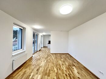 Pronájem bytu 1+kk v osobním vlastnictví 38 m², Karlovy Vary