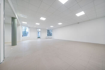 Prodej obchodních prostor 227 m², Benešov