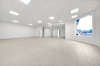 Prodej obchodních prostor 227 m², Benešov