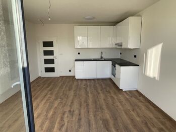 Pronájem bytu 1+kk v osobním vlastnictví 60 m², Brandýs nad Labem-Stará Boleslav