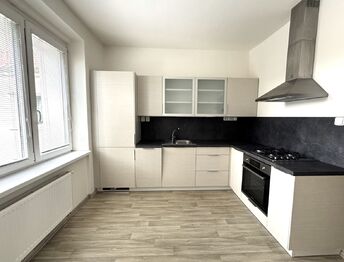 Pronájem bytu 1+1 v osobním vlastnictví 39 m², Vyškov