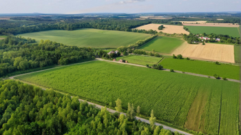 Prodej pozemku 76524 m², Pňovany