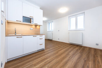 Pronájem bytu 1+1 v osobním vlastnictví 36 m², Praha 4 - Nusle