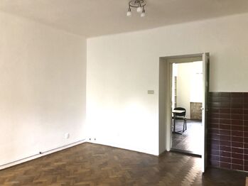 Pokoj - Pronájem bytu 1+1 v osobním vlastnictví 53 m², Praha 3 - Žižkov