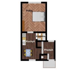 Pronájem bytu 1+1 v osobním vlastnictví 53 m², Praha 3 - Žižkov