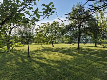 Prodej pozemku 1004 m², Březová