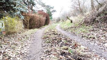 Pronájem chaty / chalupy 25 m², Malé Žernoseky