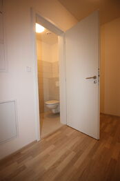 Pronájem bytu 2+kk v družstevním vlastnictví 67 m², Liberec