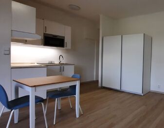 Pronájem bytu 1+kk v osobním vlastnictví 27 m², Praha 10 - Vršovice