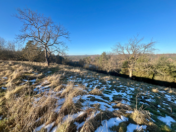 Prodej pozemku 10089 m², Kněžmost