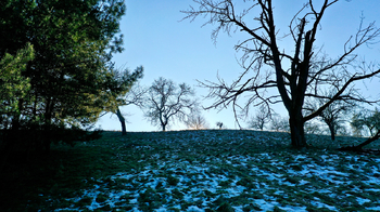 Prodej pozemku 10089 m², Kněžmost