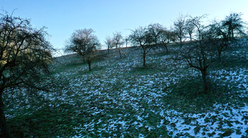 Prodej pozemku 10089 m², Kněžmost