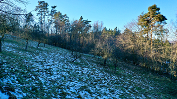 Prodej pozemku 10089 m², Kněžmost