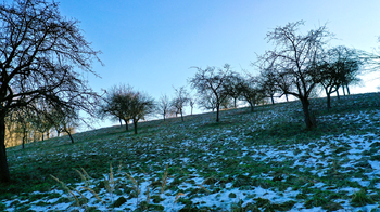 Prodej pozemku 10089 m², Kněžmost