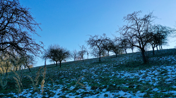 Prodej pozemku 10089 m², Kněžmost