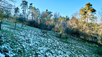 Prodej pozemku 10089 m², Kněžmost