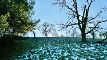 Prodej pozemku 10089 m², Kněžmost