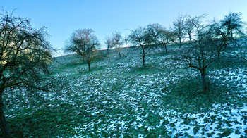 Prodej pozemku 10089 m², Kněžmost