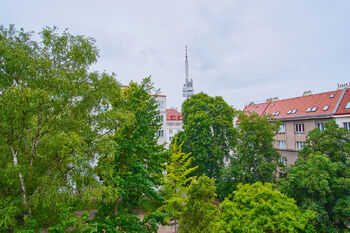 Pronájem bytu 2+kk v osobním vlastnictví 55 m², Praha 3 - Žižkov