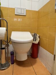 WC - Prodej domu 50 m², Káraný