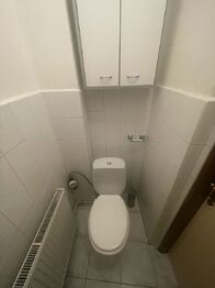 Pronájem bytu 2+1 v osobním vlastnictví 77 m², Praha 9 - Libeň