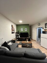 Pronájem bytu 1+kk v osobním vlastnictví 41 m², Plzeň