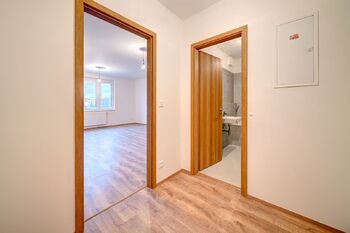 Pronájem bytu 1+kk v osobním vlastnictví 40 m², Liberec