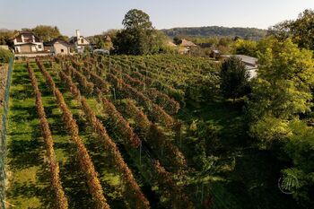 Prodej ubytovacího zařízení 659 m², Dubník