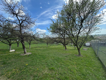 Prodej chaty / chalupy 45 m², Slavkov u Brna