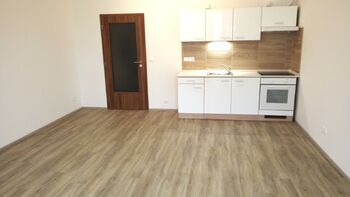 Pronájem bytu 1+kk v osobním vlastnictví 1335 m², Slavkov u Brna