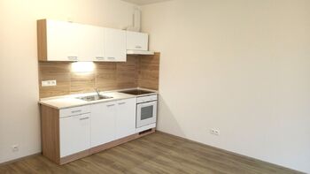 Pronájem bytu 1+kk v osobním vlastnictví 1335 m², Slavkov u Brna