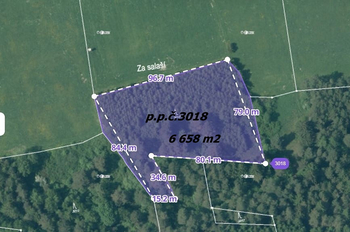 Lesní pozemek - Prodej pozemku 72095 m², Rožmitál na Šumavě