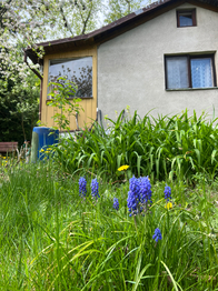 Prodej chaty / chalupy 34 m², Chrudim