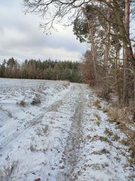 Prodej pozemku 1493 m², Číměř