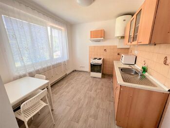 Pronájem bytu 1+1 v osobním vlastnictví 28 m², Třebichovice