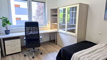 Pronájem bytu 2+kk v osobním vlastnictví 61 m², Brno