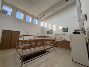 Prodej jiných prostor 3113 m², Kunovice