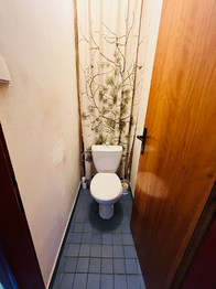 Samostatné WC. - Prodej domu 150 m², Borová Lada