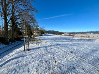 Prodej pozemku 5030 m², Želnava