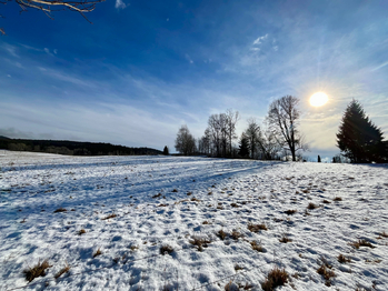 Prodej pozemku 5030 m², Želnava