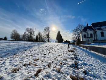 Prodej pozemku 5030 m², Želnava