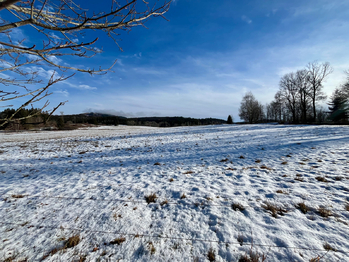 Prodej pozemku 5030 m², Želnava