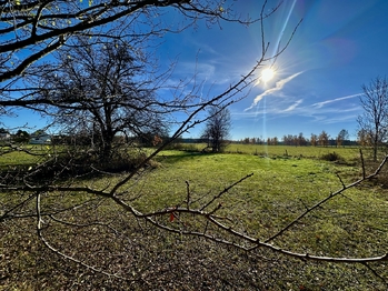 Prodej zemědělského objektu 877 m², Mladošovice