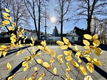 Prodej zemědělského objektu 877 m², Mladošovice