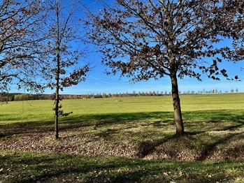 Prodej zemědělského objektu 877 m², Mladošovice