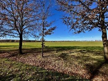 Prodej zemědělského objektu 877 m², Mladošovice