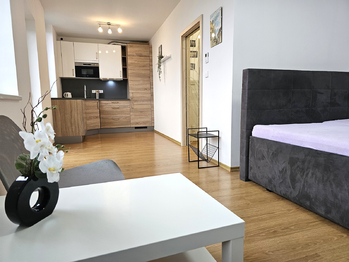 Pronájem bytu 1+kk v osobním vlastnictví 36 m², Olomouc