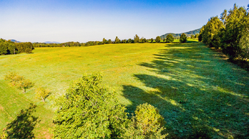 Prodej pozemku 101056 m², Zákupy